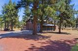 16738 Pine Tree Lane - Photo 34