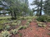 32001 Redwood Highway - Photo 1