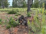 32001 Redwood Highway - Photo 10