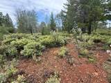 32001 Redwood Highway - Photo 5