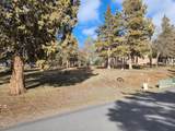  Coopers Hawk - Photo 2