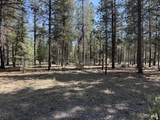 15740 Cornell Road - Photo 46