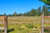 17186 Highway 126 - Photo 43