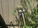 31830 Union Street - Photo 19