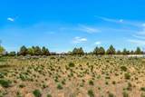 8341 Copley Road - Photo 40