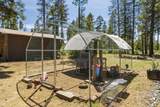 53770 Boundary Road - Photo 47