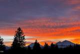 69550 Pine Ridge Drive - Photo 40