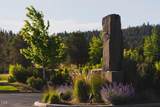 857 Bailey Mountain Road - Photo 7