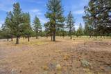 17057 Golden Stone Drive - Photo 14