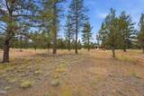 17057 Golden Stone Drive - Photo 16