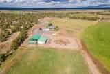 24585 Dodds Road - Photo 85