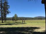 39860 Nine Mile Road - Photo 9