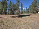 31710 Spaniel Lane - Photo 46