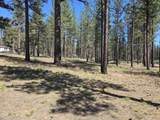 31710 Spaniel Lane - Photo 47