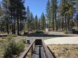 31710 Spaniel Lane - Photo 8