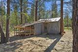 15039 Yorkie Lane - Photo 19