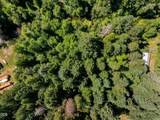 0 Lower Grave Creek Road - Photo 18