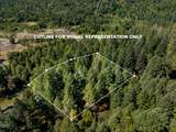 0 Lower Grave Creek Road - Photo 2