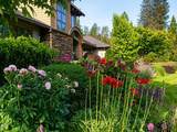 693 Horizon Hills Road - Photo 62