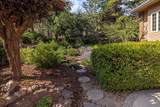 1250 Wild Plum Drive - Photo 47