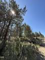0 0300 Sprague River Drive - Photo 4