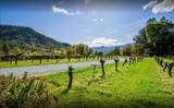 818 Slagle Creek Road - Photo 41