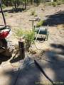 0 Green Forest Drive - Photo 13
