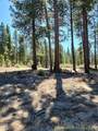 0 Green Forest Drive - Photo 2