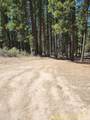 0 Green Forest Drive - Photo 5