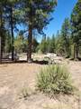 0 Green Forest Drive - Photo 6