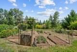 255 Carmen Road - Photo 43