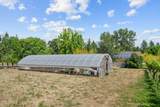 255 Carmen Road - Photo 46