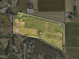 255 Carmen Road - Photo 52