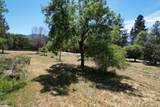 181 Upper Applegate Road - Photo 81