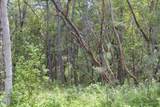 410 Schieffelin Gulch Road - Photo 42