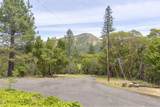 410 Schieffelin Gulch Road - Photo 46