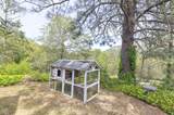 410 Schieffelin Gulch Road - Photo 49