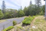 410 Schieffelin Gulch Road - Photo 51