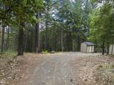 308 Limpy Creek Road - Photo 26
