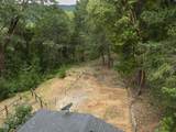 308 Limpy Creek Road - Photo 28