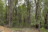 308 Limpy Creek Road - Photo 31