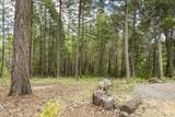 308 Limpy Creek Road - Photo 32