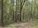 308 Limpy Creek Road - Photo 33