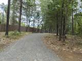 308 Limpy Creek Road - Photo 36