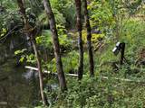 308 Limpy Creek Road - Photo 48