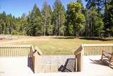 1133 Idlewild Drive - Photo 14
