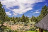 20960 Royal Oak Circle - Photo 93