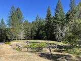 2640 Birdseye Creek Road - Photo 42