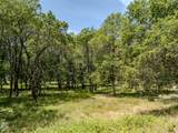 7833 Lower River Road - Photo 99