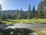 1082 Paper Birch Way - Photo 2